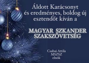 Read more about the article Kellemes Ünnepeket!